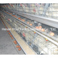 Hot Sale Galvanization Breeder Chicken Cage (A type)